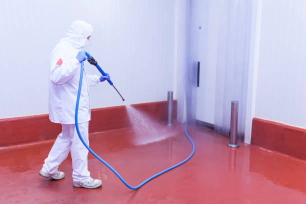 Best Post-Construction Pressure Washing  in Neshanic Station, NJ